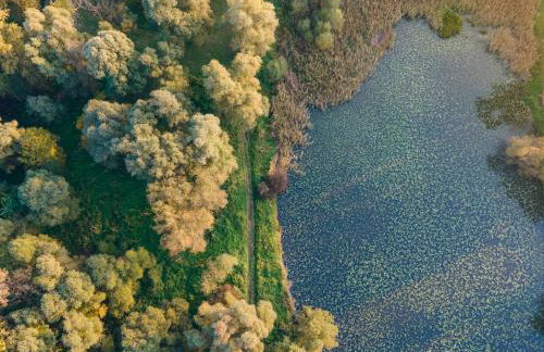 Apartment Sandra Toplice Sveti Martin - Foto 58