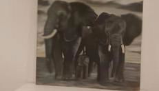 Atelier d'artiste - Foto 4