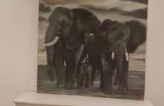 Atelier d'artiste - Foto 4