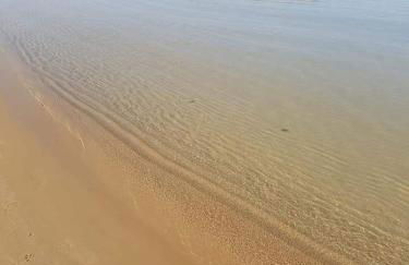 Under Royal - Foto 15