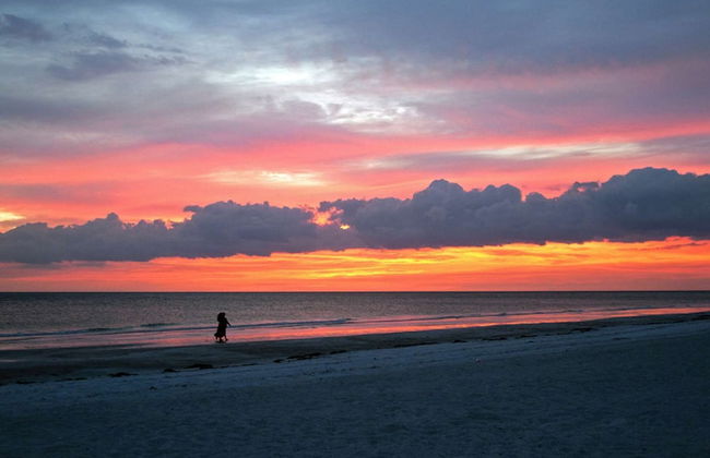 Siesta Key Home - Foto 39