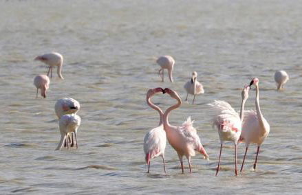 Casale Gli olivi di Dino - Foto 45