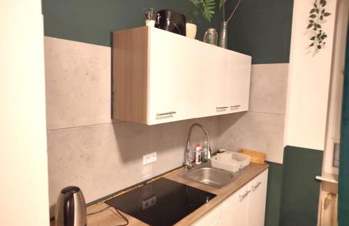 3 Floor XXL House, 7 Rooms, 2 Kitchen, 15 Minutes to Frankfurt, Washing Machine - Foto 8