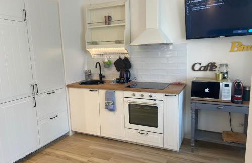 Martinetti 28 - bilocale nuovissimo - Foto 4