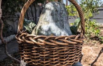 San Borondón - Foto 16