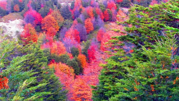 Descubriendo los paisajes de la reserva