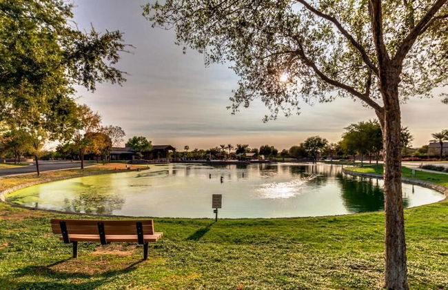 Palmen Maricopa - Foto 31