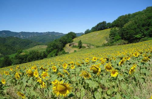 Agriturismo I Monti di Salecchio - Foto 26