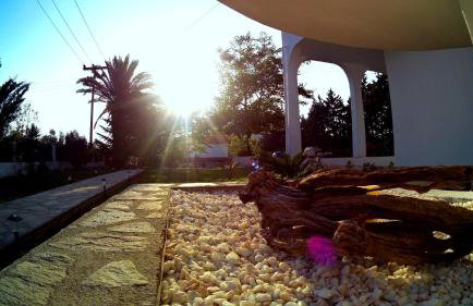 Simplicity at Iris Accommodation - Photo 31