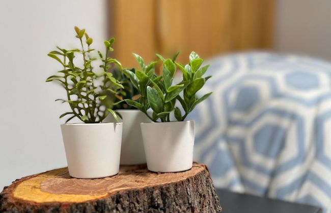 Villa Near Adra With Sea and Mountain Views - Photo 30