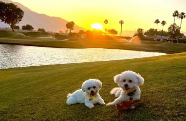 Luxe Palm Springs Villa- Sunset Oasis Private Heated Pool & Spa on Golfcourse - Foto 32