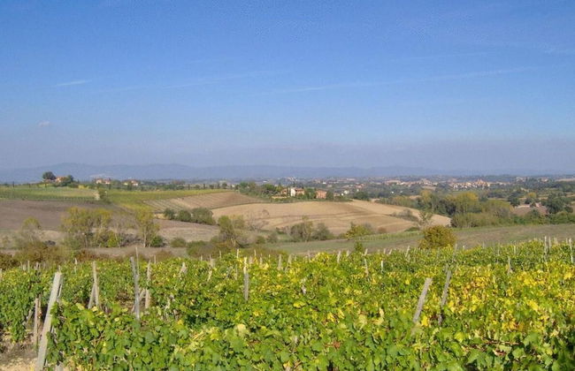 Tenuta S. Agnese - Photo 51