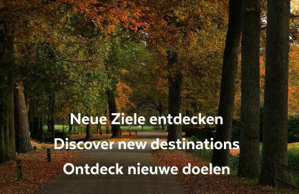 FeWo Grafschaft - Foto 41