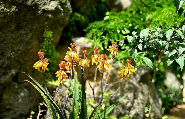 Etna Panoramic Villa With Swimming Pool - Foto 55