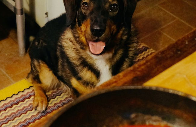 Il Pezzatino - Photo 52