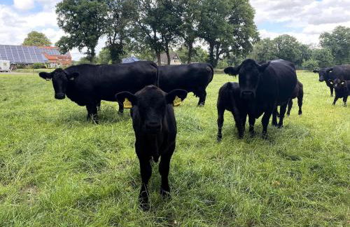 Ferienwohnungen in Strackholt - Foto 28