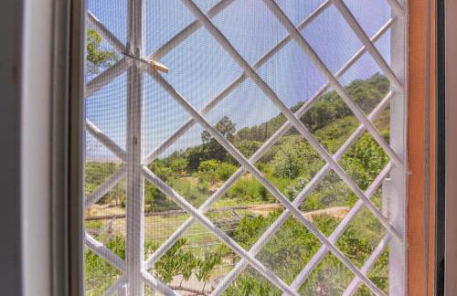 Casa Pájaro Colores in Bolonia - Foto 47