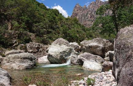 Résidence A Barcella - Foto 44