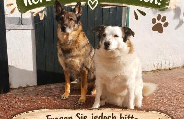 Ferienwohnung Rössewiese - Foto 12