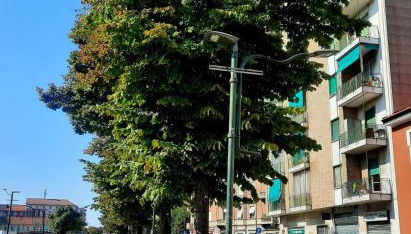 Sara’s Home - Foto 4