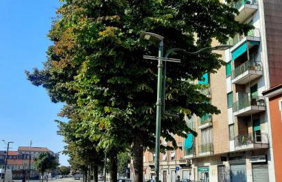 Sara’s Home - Foto 4