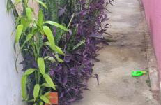 Aconchegante casa em Búzios. - Foto 8