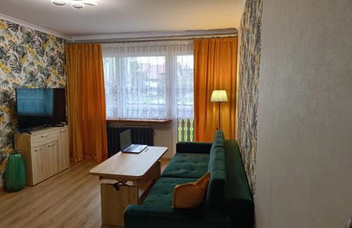 Miętówka - Foto 21