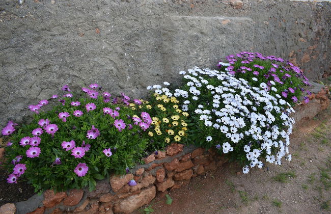 Cortijo la Molina de Cabo de Gata - Foto 55