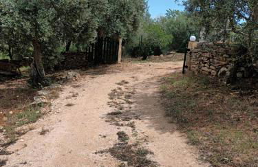 Casa dos Terranhos - Foto 28