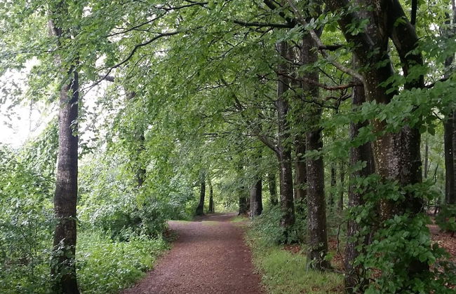 Lakefront Gem in Skarrild - By Traum Ferienwohnungen - Foto 19