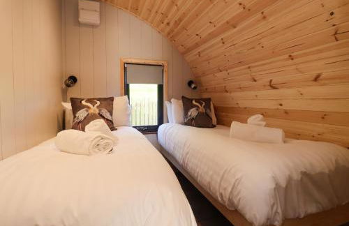 Oyster Catcher - Foto 12