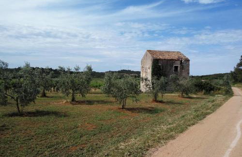 Apartment Asparagus - Photo 32