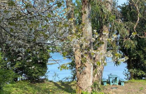 Site exceptionnel accès mer grands espaces - Foto 34