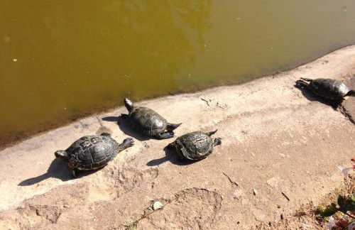 Apartamento Turistico Cigüeña de Arguedas - Foto 64