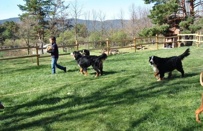 Eco Urbión - Foto 50