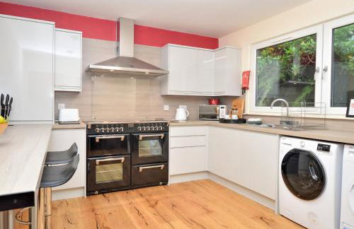 Pedals And Paddles - Foto 10