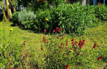 Artist's house for rent - Foto 19