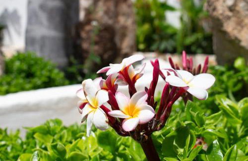 Tropical Oasis Costa Dorada with private pool - Foto 38