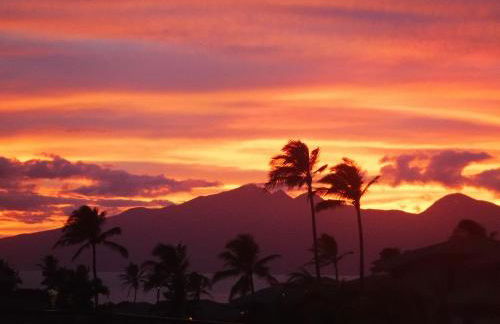 Ground Floor & ac - kbv11g2 - Sullivan Properties - Photo 41