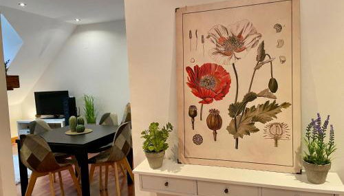 CALMFRANC ático abuhardillado con vistas al río y la montaña Avistamiento de ciervos en Canfranc Pueblo - Foto 4