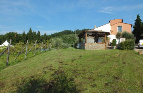 Agriturismo Ai Mandrioli - Foto 73