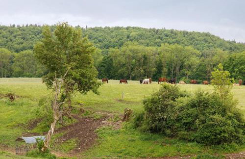 Hofgut Uhenfels - Foto 12