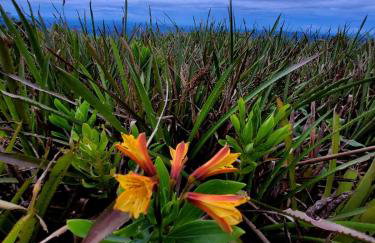 Chalé do Lopo - Photo 61