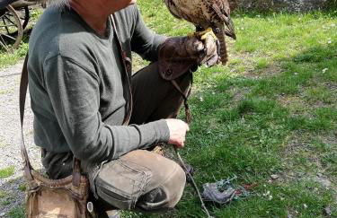 Ferienhaus 3 Eulen - Foto 39