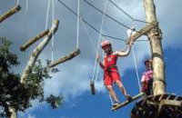 Apartman Orbanići - Foto 26