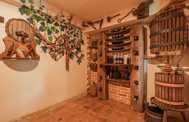 Vineyard cottage Rataj 2 - Foto 22