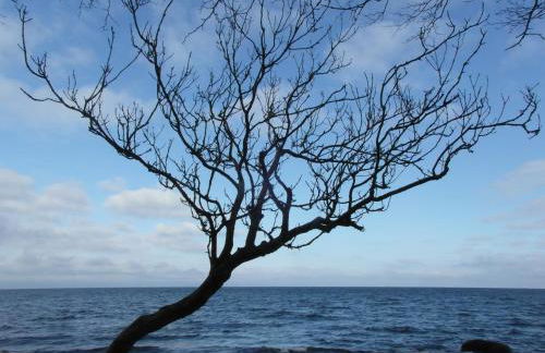 Das Rügenhaus - Foto 19