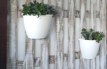 Alagoas4Family - Country House - Foto 45