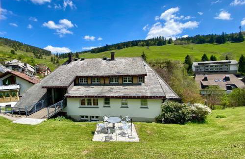 Berghof Almzeit - Fewo "Heuboden", Sauna , Todtnauberg, Feldberg - Foto 26