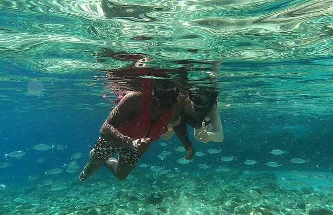 Mykonos Private Island Tour com paragem de snorkeling - Foto 14
